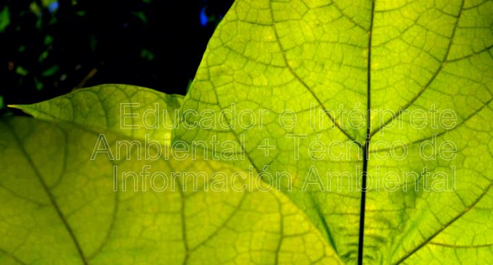 Doble Curso de Educador e Intérprete Ambiental + Técnico de Información Ambiental