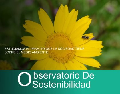 Observatorio de Sostenibilidad