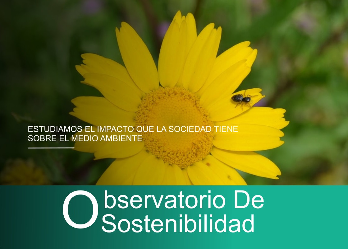 Observatorio de Sostenibilidad